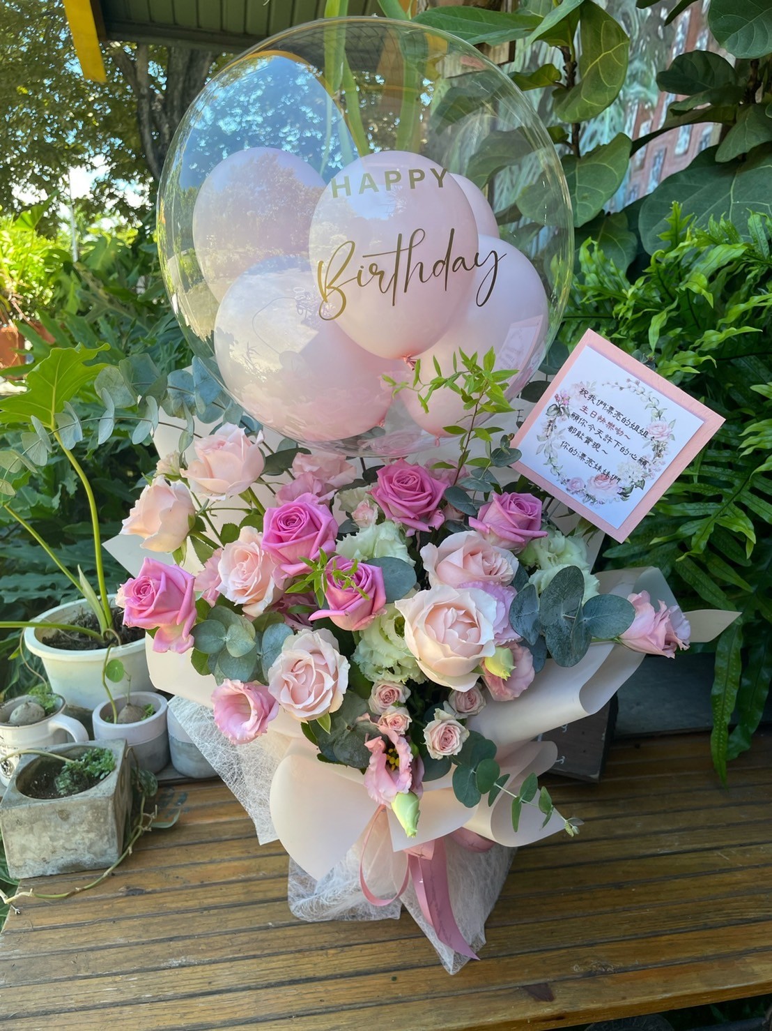 粉紅佳人氣球花